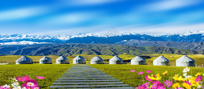 格桑花与蓝天雪山下的蒙古包背景