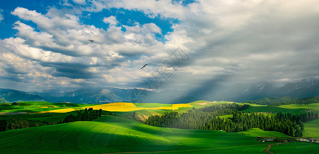 美丽的新疆风景新疆那拉提麦田风光背景