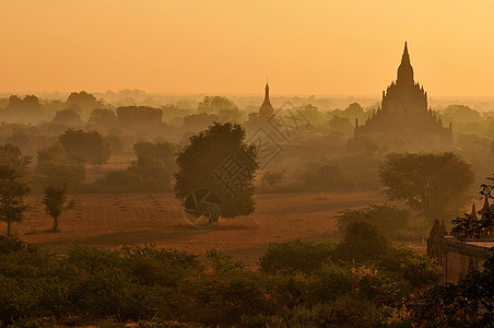 缅甸翡翠缅甸蒲甘古城平原上的佛塔映衬在早霞薄雾中背景
