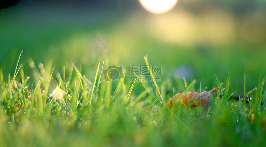 绿军主场北岸花园球馆再度成为对手噩梦之地