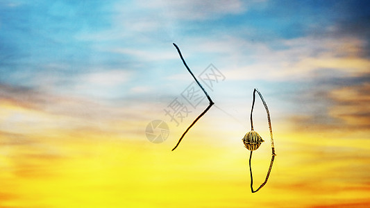 夏背景照片 夏背景背景 夏背景摄影图片下载 摄图网