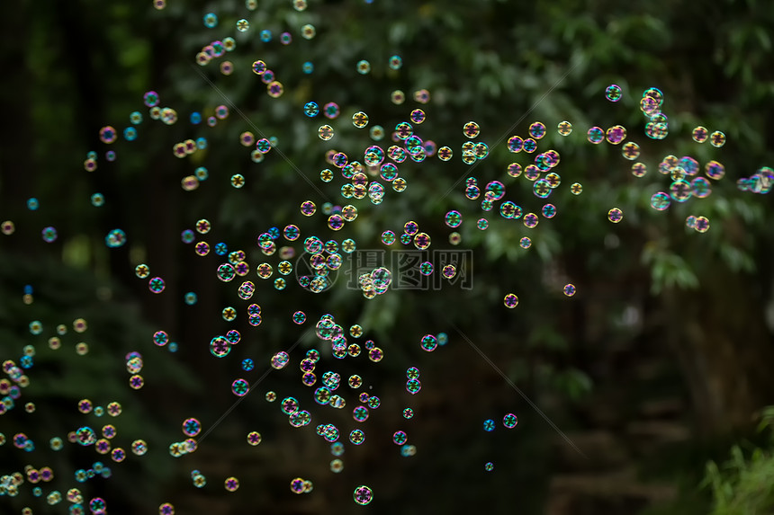 漂浮在森林中的彩色泡泡图片