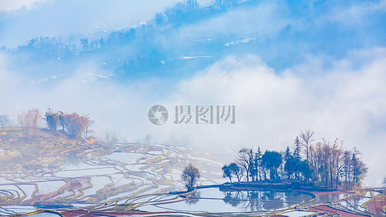 云南元阳梯田晨雾图片