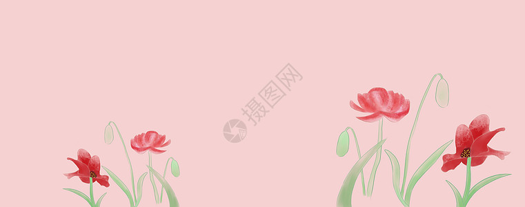 花图片