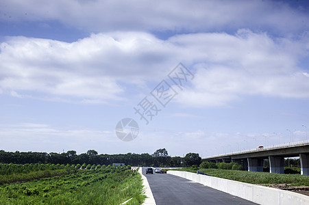 长兴岛长江大桥江边景色图片