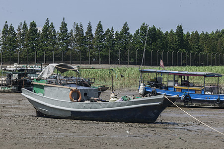长江上的各种船只图片