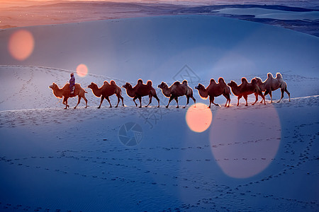 日出沙漠沙漠里的驼队背景