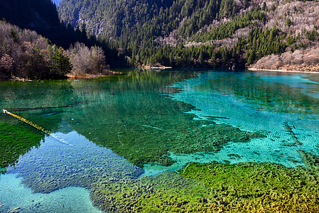 五彩山湖五花海子背景