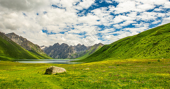 草地上大石头甘南年保玉则风光背景