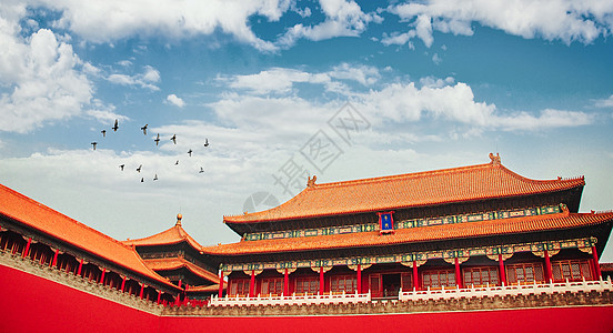 红色与黄色的花北京故宫紫禁城背景