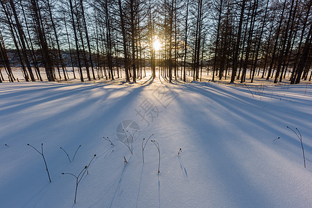 雪后风景阿尔山的冰雪荒原背景