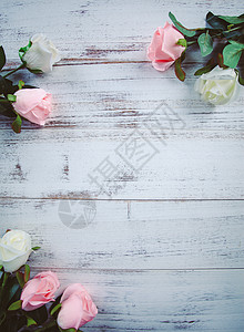 粉白玫瑰图片