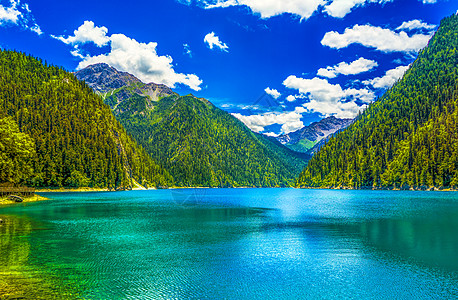 太阳森林九寨沟山水自然美景背景