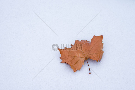 冬天雪地纹理素材图片