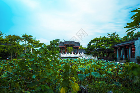 蓝色城市剪影中国风古建筑荷花塘背景背景