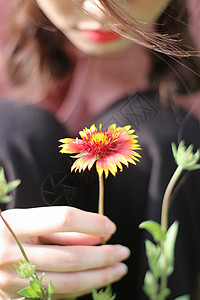 清新感少女与花背景