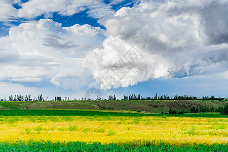 新疆草原自然风光图片