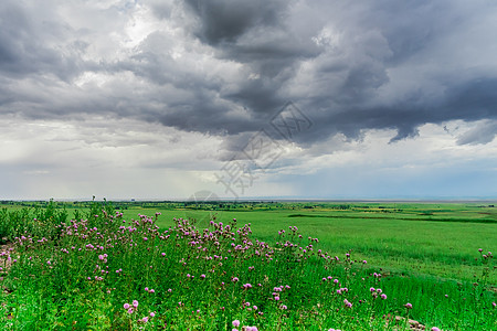 新疆草原自然风光背景