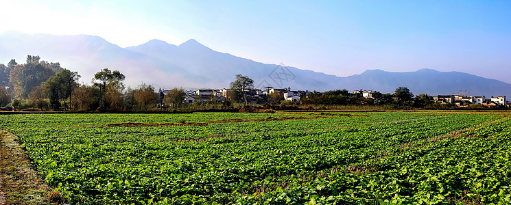 安徽南屏村图片