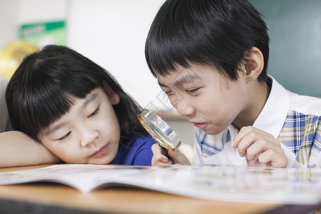 小学生同学在教室里一起研究学习背景图片