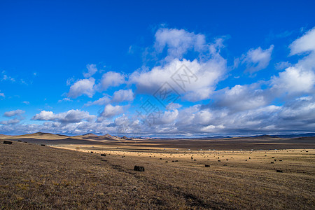 北疆荒草蓝天保护区图片