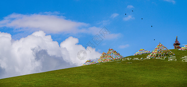 蓝天飞鸟草原经幡背景