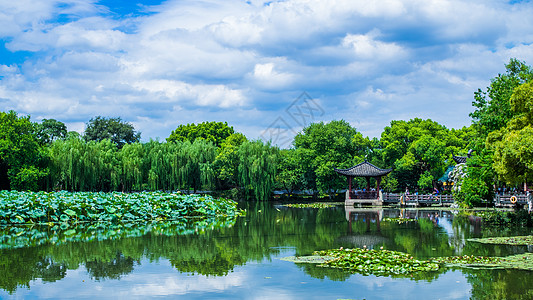 夏天杭州西湖景色背景