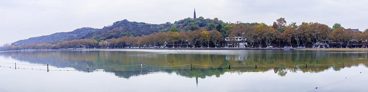 西湖北山街秋色全景图片