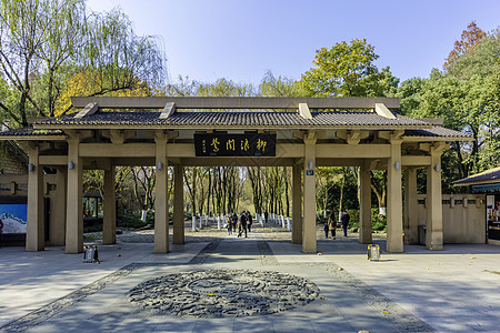 城市云西湖柳浪闻莺背景