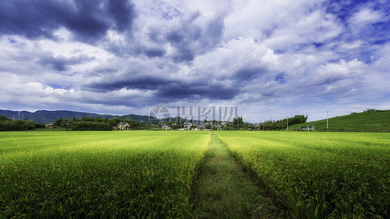 田野图片