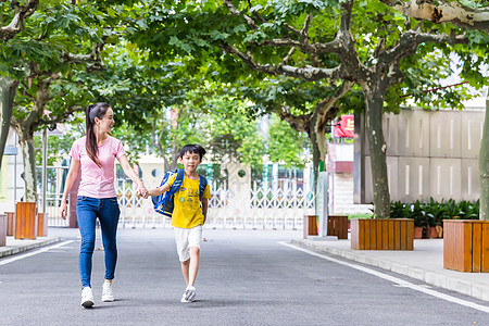 母子牵手步行校园亲子妈妈牵着儿子上学背景