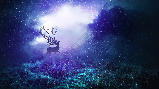 森林迷雾与麋鹿背景图片