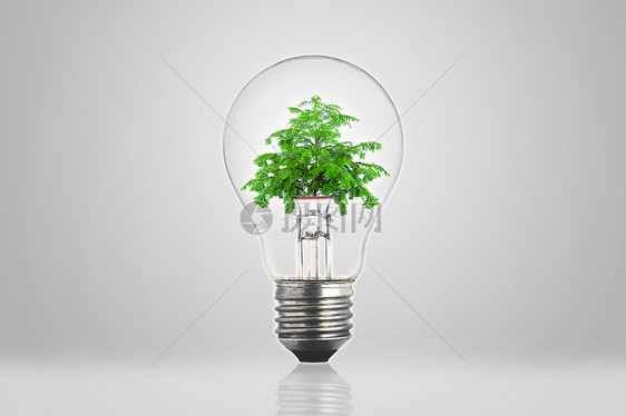 创意环保灯泡图片