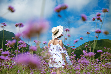 个人写真薰衣草花田里的美女背影背景