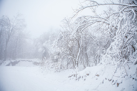 雾凇雪景素材图片