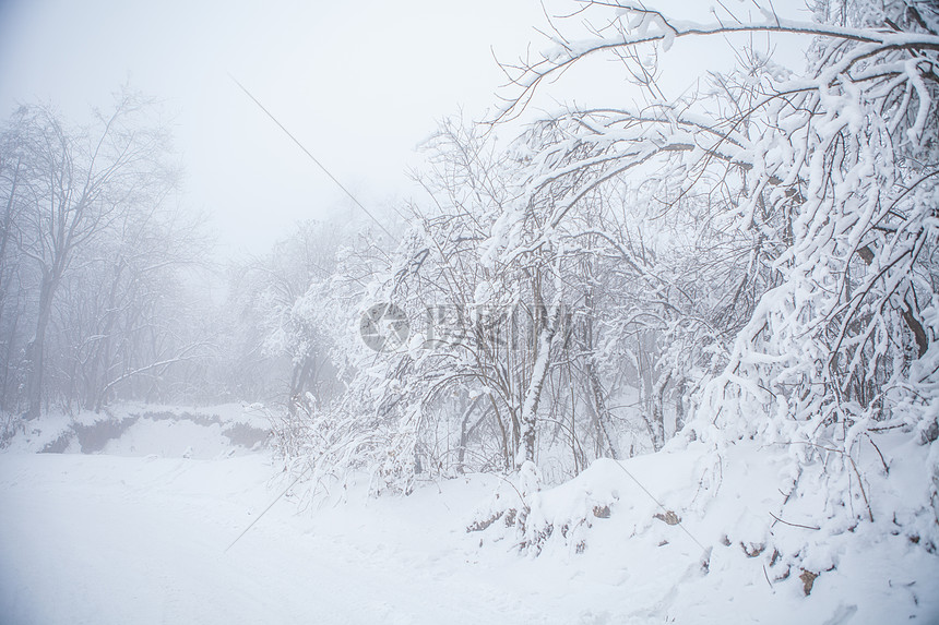 雾凇雪景素材图片