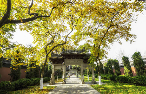 杭州钱王祠图片