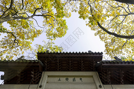 杭州建筑钱王祠牌坊秋色背景