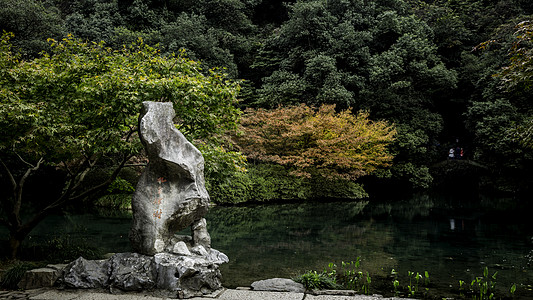 杭州秋季九溪烟树背景