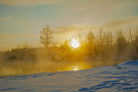 森林创意雪地日出背景