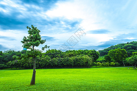 城市草地绿化树林云朵天际线高清图片
