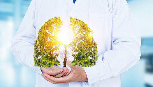 绿色医疗背景医生手托着肺形状的树设计图片