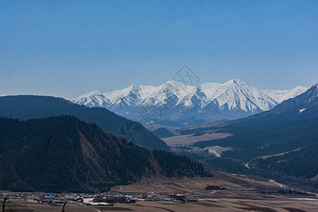 祁连山打草原祁连山背景