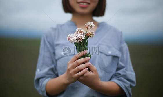 手捧狼毒花的少女图片