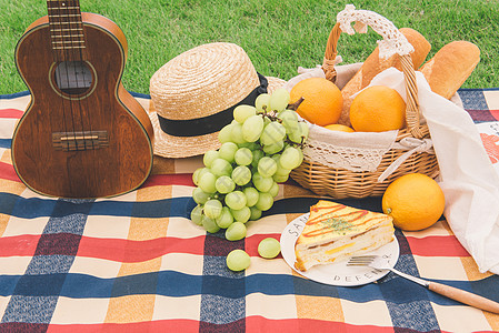 食物变质橙子户外绿草地上野餐背景