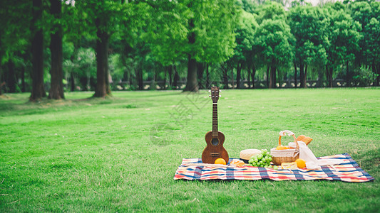 窗外树林户外绿草地上野餐背景