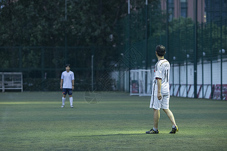 足球场绿茵草坪背景图片