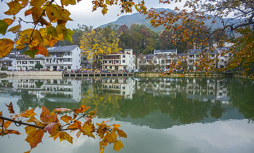 临安大明山杭州临安指南村银杏湖面唯美秋色背景