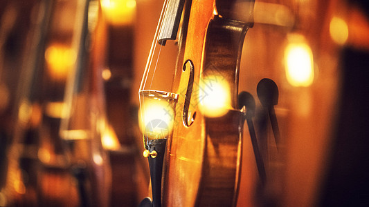 光晕中的小提琴图片