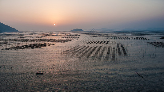霞浦北岐海带养殖基地日出背景图片